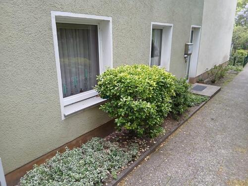 Foto - 3 Zimmer Wohnung mit separaten Eingang Mietwohnung Wolfenbüttel