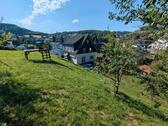 Foto - Einfamilienhaus in Bergneustadt zum Kaufen