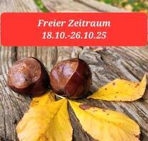 Ferienwohnung Ankerplatz Insel Poel Ostsee Nähe Wismar Urlaub - Bad Salzuflen Biemsen-Ahmsen