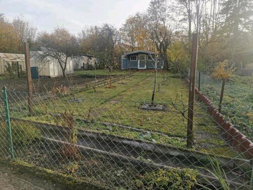 Foto - Grundstück zur Miete in Calberlah