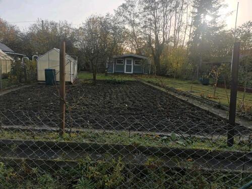 Foto - Grundstück in Calberlah zur Miete