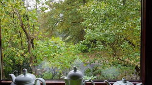 Foto - 6 Zimmer Einfamilienhaus zum Kaufen in Hannover