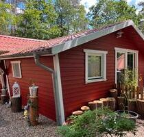 Holzhaus im Wald - idyllisches Wohnen in der Natur - Wesendorf