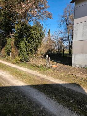 Foto - Doppelhaushälfte in Mintraching zum Kaufen