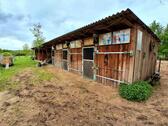 Foto - 7 Zimmer Bauernhaus, Landhaus in Kloster Lehnin