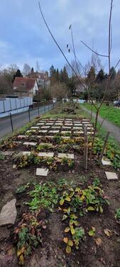 Foto - Einfamilienhaus in Vlotho zum Kaufen