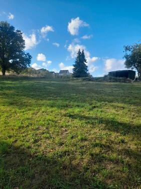 Foto - Grundstück zu verpachtsn - 130,00 EUR Kaltmiete, ca.  0,00 m²