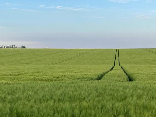 Foto - Top Ackerland bei Leipzig (Sachsen)