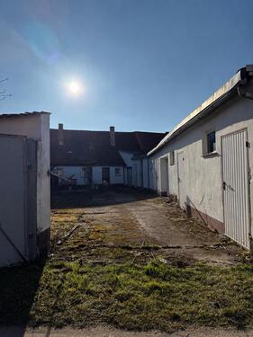 Foto - Doppelhaushälfte in Calbe (Saale) zum Kaufen