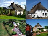 Foto - Ferienhaus Schlei Ostsee 8 Pers, Sauna, Kamin, Hunde, Zaun