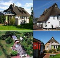 Ferienhaus Schlei Ostsee 8 Pers, Sauna, Kamin, Hunde, Zaun - Rabenkirchen-Faulück