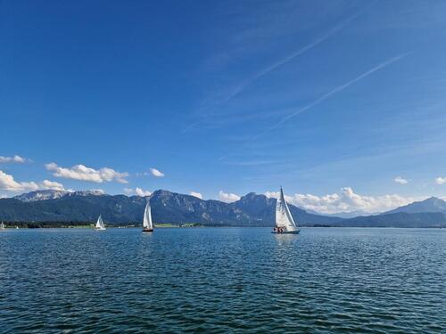 Foto - andere in Rieden am Forggensee