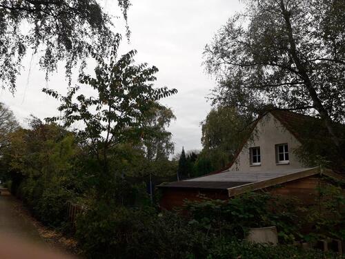 Foto - Einfamilienhaus zum Kaufen in Hamburg
