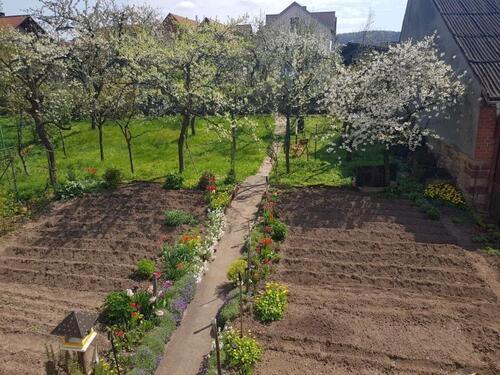 Foto - Einfamilienhaus zur Miete in Elfershausen