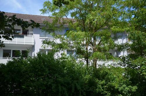 Foto - andere in Eltville am Rhein