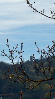 Foto - Etagenwohnung in Eisenach zur Miete