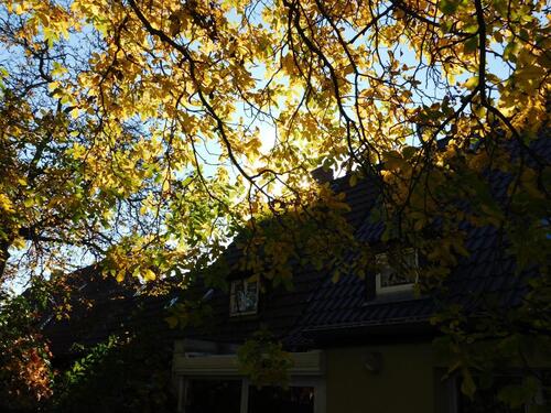Foto - Einfamilienhaus in Ludwigsfelde zum Kaufen