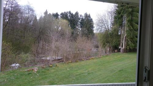 Foto - Etagenwohnung in Westerburg zur Miete