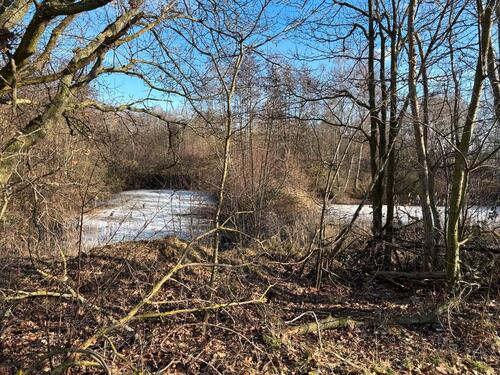Foto - Grundst&uuml;ck in Schwülper zur Miete