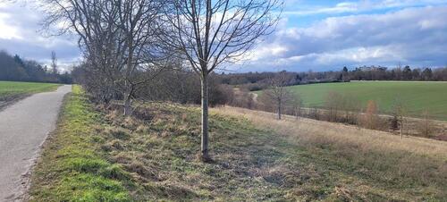 Foto - 2 Zimmer Etagenwohnung zum Kaufen in Mainz