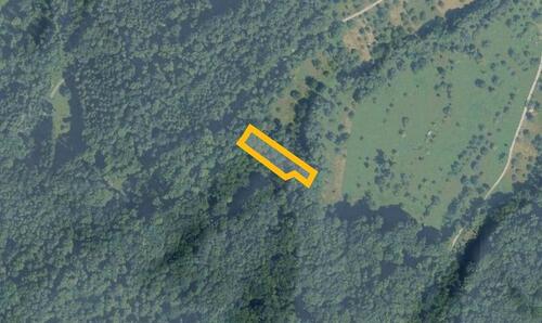 Foto - AUKTION: Waldfläche - 500,00&nbsp;EUR Kaltmiete, ca.&nbsp; 0,00&nbsp;m&sup2;