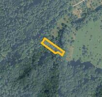 AUKTION: Waldfläche - 500,00&nbsp;EUR Kaltmiete, ca.&nbsp; 0,00&nbsp;m&sup2; in Mössingen (PLZ: 72116)