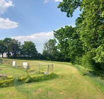 Ferienhaus im Sauerland, 4 Personen, Hunde kostenlos - München Altstadt-Lehel