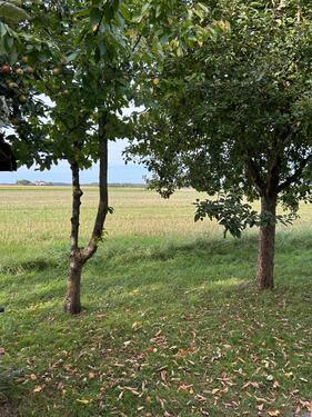 Foto - Reihenhaus in Ingolstadt zum Kaufen