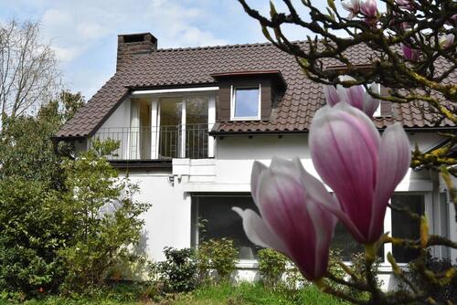 Foto - 10.5 Zimmer Einfamilienhaus in Holzminden