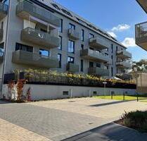 schöne 3-Zi.Whg Terrasse Gartenanteil EBK Parkett - Berlin Treptow-Köpenick
