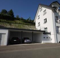 Kalletal Erder EG Neubauwohnung 2ZKB + HWR + GWC + Carport