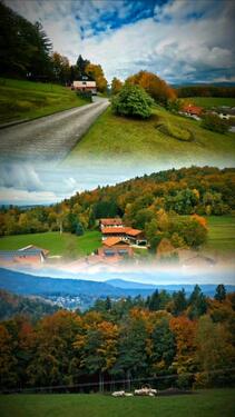 Foto - Einfamilienhaus zum Kaufen in Fürstenstein