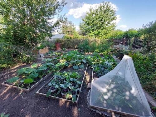 Foto - Grundst&uuml;ck zur Miete in Dresden