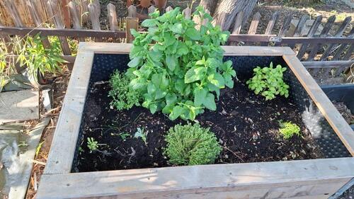 Foto - Grundst&uuml;ck in Dresden