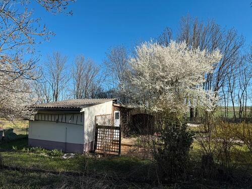 Foto - Kleingarten Pachtgarten Gartengrundstück Garten