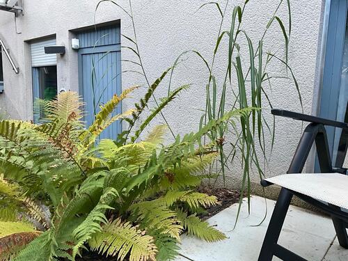 Foto - Wohnung im Naturschutzgebiet HonzrathHellwies