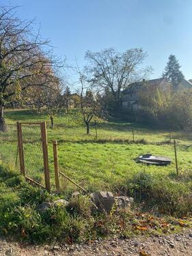 Foto - Einfamilienhaus in Waldheim