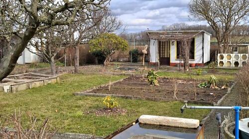 Foto - Grundst&uuml;ck zur Miete in Kamenz