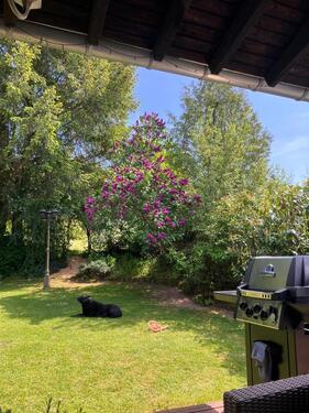 Foto - Einfamilienhaus in Neuhütten zum Kaufen