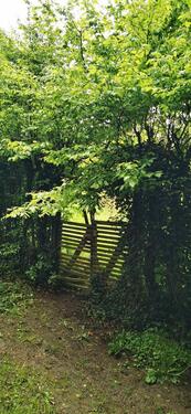 Foto - Natur-Oase südl. von Bonn: Freizeitgarten mit Hütte & PKW-Zufahrt