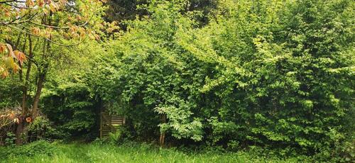 Foto - Grundst&uuml;ck in Bonn