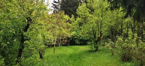 Foto - Grundst&uuml;ck in Bonn zur Miete