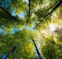 2 Wohnungen zu Verkaufen&1 Ferienwohnung Zimmer Küche Bad - Saarlouis