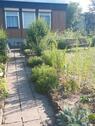 Foto - Kleingarten mit Gartenhaus in Neubiendorf abzugeben