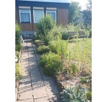 Kleingarten mit Gartenhaus in Neubiendorf abzugeben - Mücheln (Geiseltal)