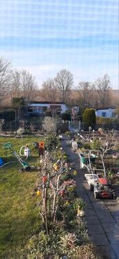 Foto - Grundst&uuml;ck in Mücheln (Geiseltal) zur Miete