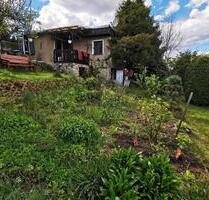 Wunderschöner 300m2 Pachtgarten in Eisenberg - Jena