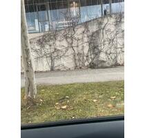 1080 warm seher schon 90 kvm 3 zimmer wohung - Bretten