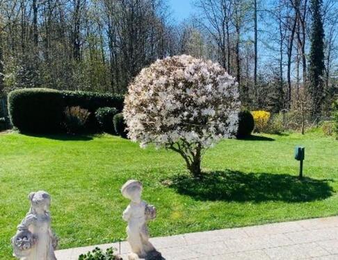 Foto - Etagenwohnung zur Miete in Pforzheim