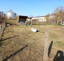 Freier Pachtgarten, Parzelle - 35,00&nbsp;EUR Kaltmiete, ca.&nbsp; 0,00&nbsp;m&sup2; in Südharz (PLZ: 06536)